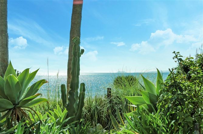 {name:Malaga, codeiso:MA}, Estepona, Estepona East, Cabo Bermejo, Spain - COSTA-01179P