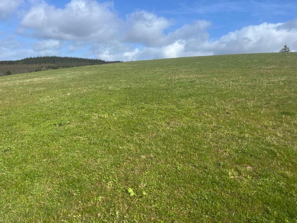 Gaddenbeag, Ballygawley, Sligo