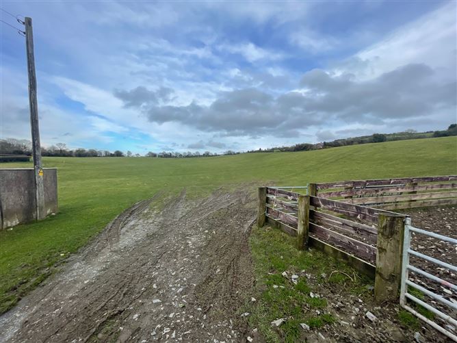Land c. 30 Acres / 12.14 HA., Greenmount, Rathmore, Naas, Kildare