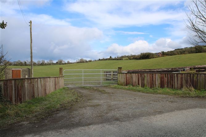Land c. 30 Acres / 12.14 HA., Greenmount, Rathmore, Naas, Kildare