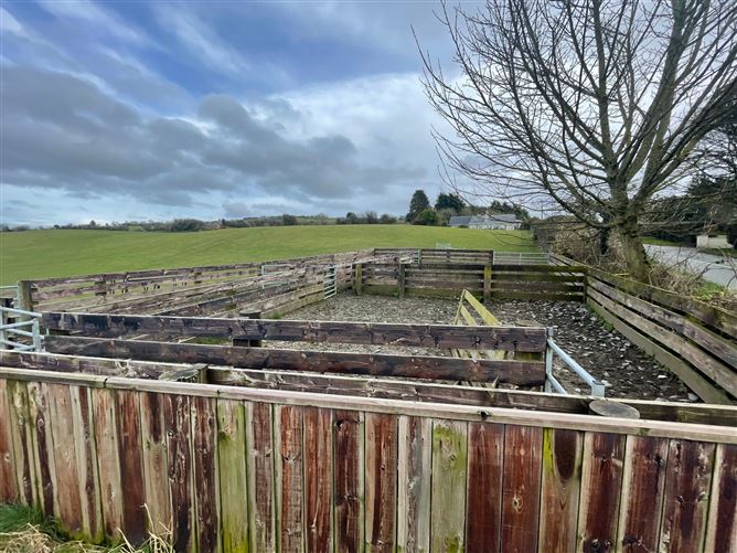 Land c. 30 Acres / 12.14 HA., Greenmount, Rathmore, Naas, Kildare