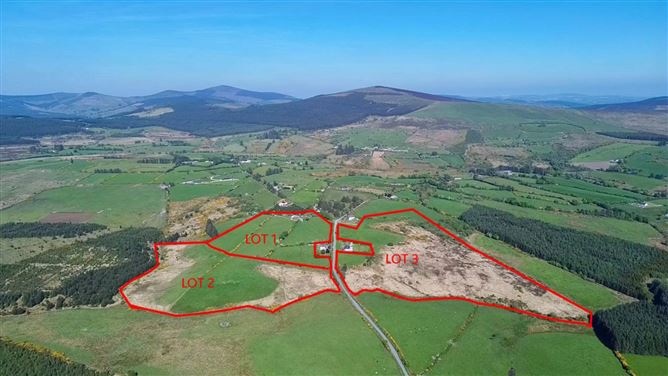 Ballymaghroe (C. 58 Acres), Knockananna, County Wicklow
