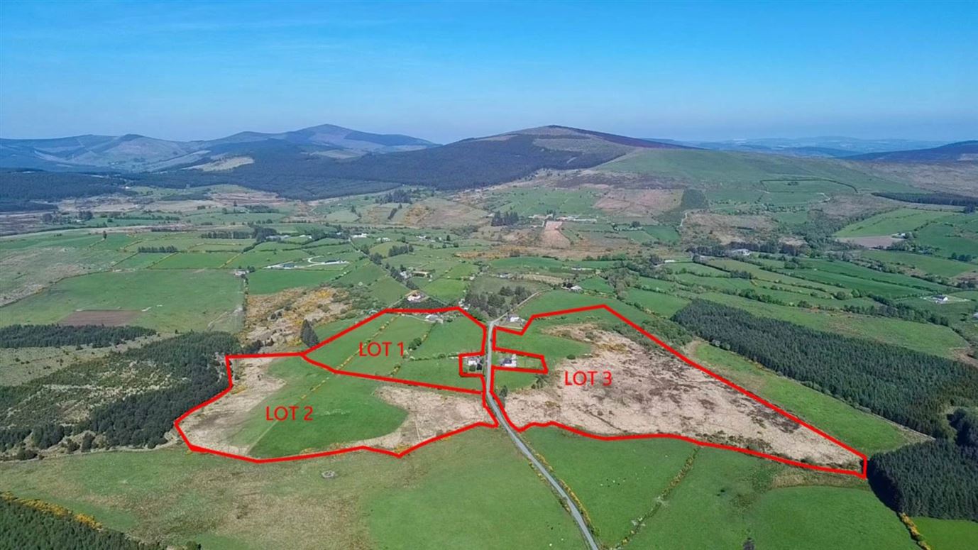 Ballymaghroe (C. 58 Acres), Knockananna, County Wicklow