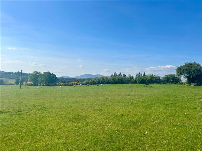 Ballymaghroe (C. 58 Acres), Knockananna, County Wicklow