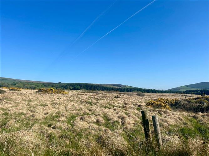 Ballymaghroe (C. 58 Acres), Knockananna, County Wicklow