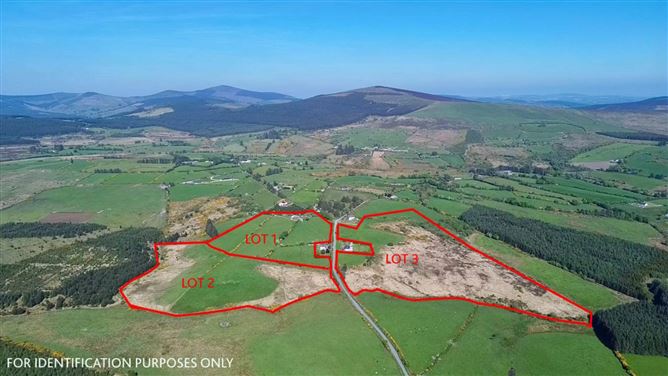 Ballymaghroe (C. 58 Acres), Knockananna, County Wicklow