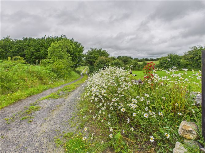 Photo 38 of 40 — Ballymurray, Mount Temple, Athlone, Co. Westmeath