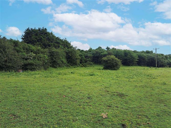 Rasillagh, Oldcastle, Meath Raymond Potterton & Company 4717749 MyHome.ie Commercial