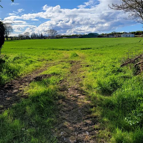 Derrygrath, Clonmel, Tipperary