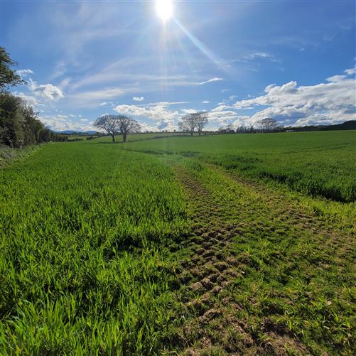 Derrygrath, Clonmel, Tipperary
