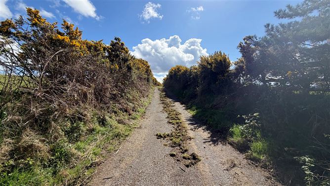 Derelict Cottage on 3.45 Acres, Crehelp, Dunlavin, Wicklow