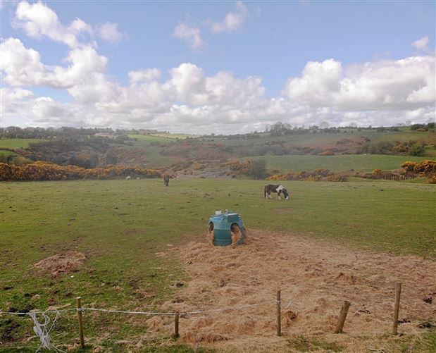 Derelict Cottage on 3.45 Acres, Crehelp, Dunlavin, Wicklow