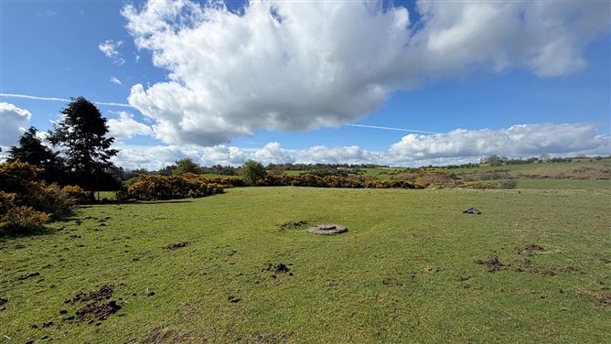 Derelict Cottage on 3.45 Acres, Crehelp, Dunlavin, Wicklow