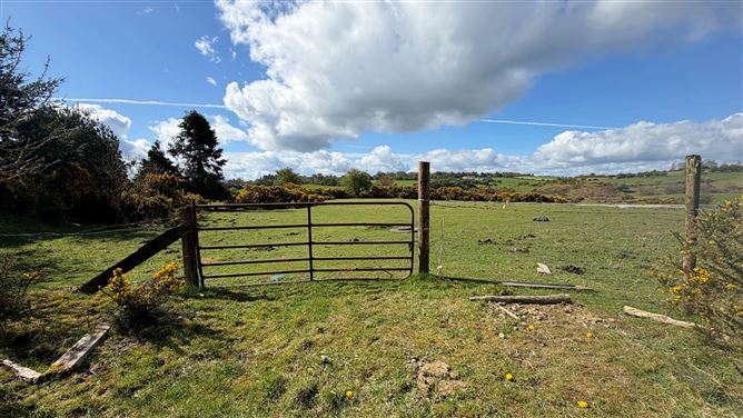 Derelict Cottage on 3.45 Acres, Crehelp, Dunlavin, Wicklow