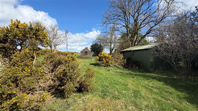 Derelict Cottage on 3.45 Acres, Crehelp, Dunlavin, Wicklow