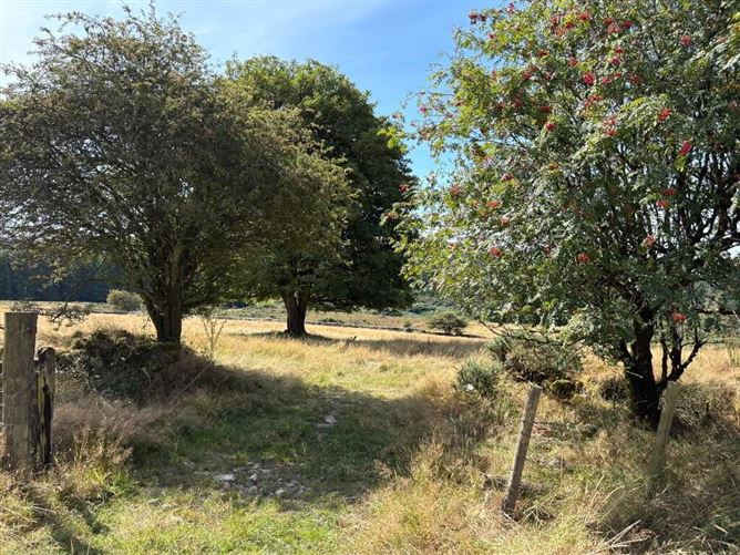 Photo 10 of 11 — Residential Farm Standing On 20.43 Acres, Knocknaglogh, Dungarvan, Waterford