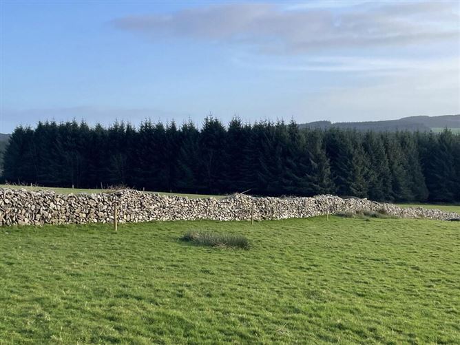 Photo 6 of 11 — Residential Farm Standing On 20.43 Acres, Knocknaglogh, Dungarvan, Waterford