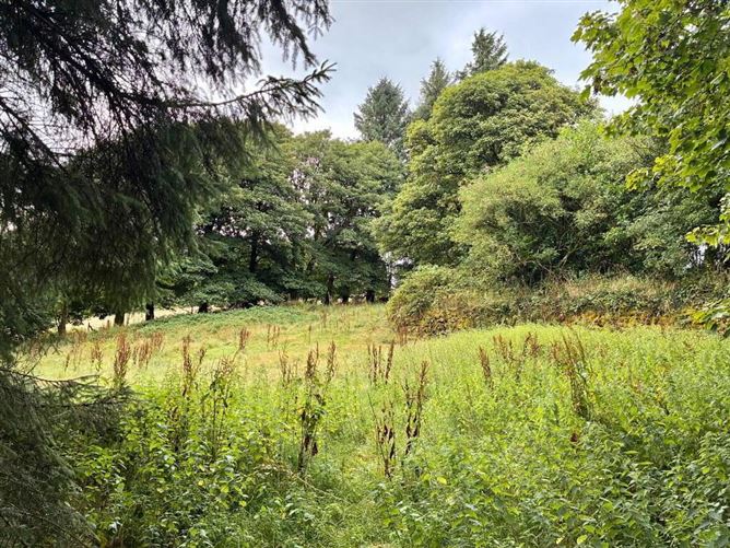 Photo 7 of 11 — Residential Farm Standing On 20.43 Acres, Knocknaglogh, Dungarvan, Waterford