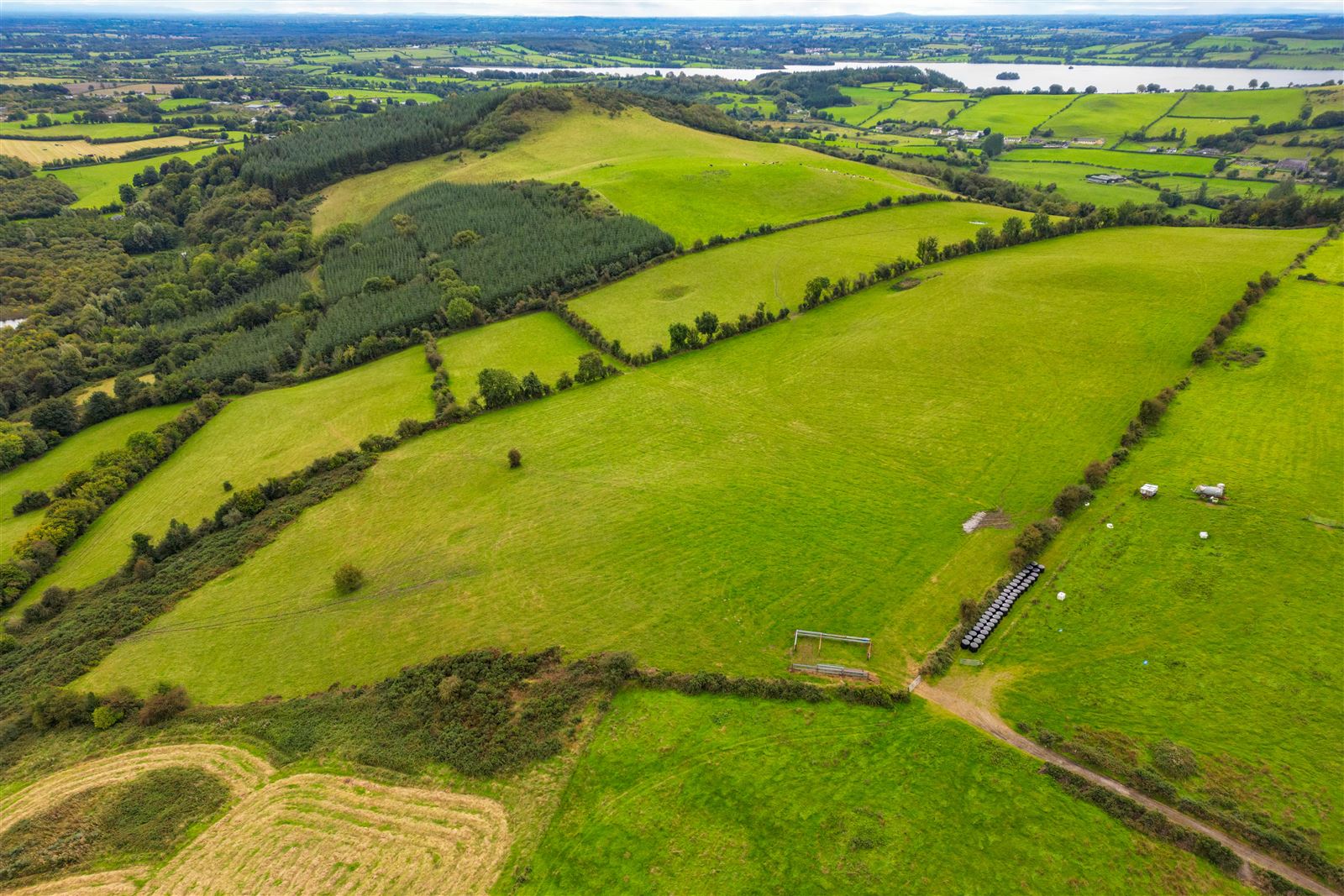 Ben of Fore, Castlepollard, Westmeath
