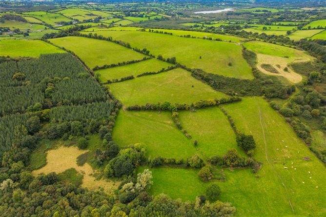 Ben of Fore, Castlepollard, Westmeath