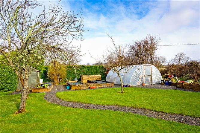 Springfield, Ballincar, Co. Sligo