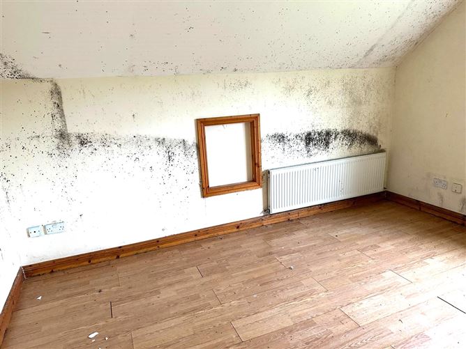 Leitrim, Coolarty, Granard, Longford