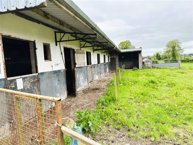 Leitrim, Coolarty, Granard, Longford