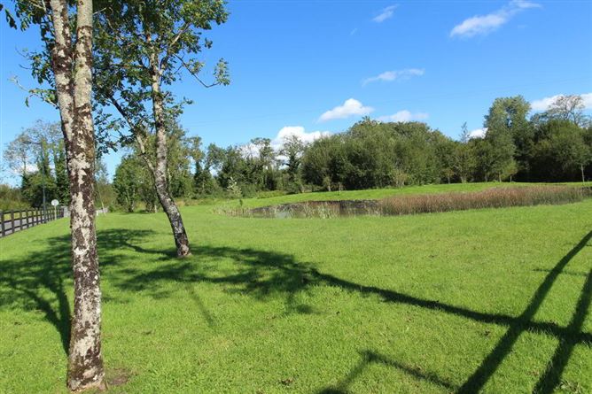 14 Fairways, Dromod, Leitrim