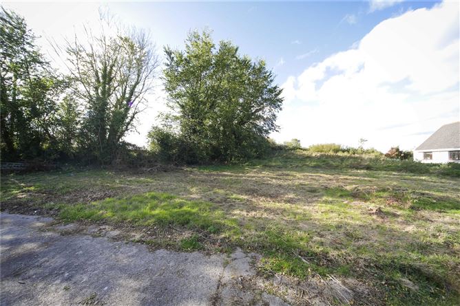 The Heath, The Heath Portlaoise, Portlaoise, Co. Laois.