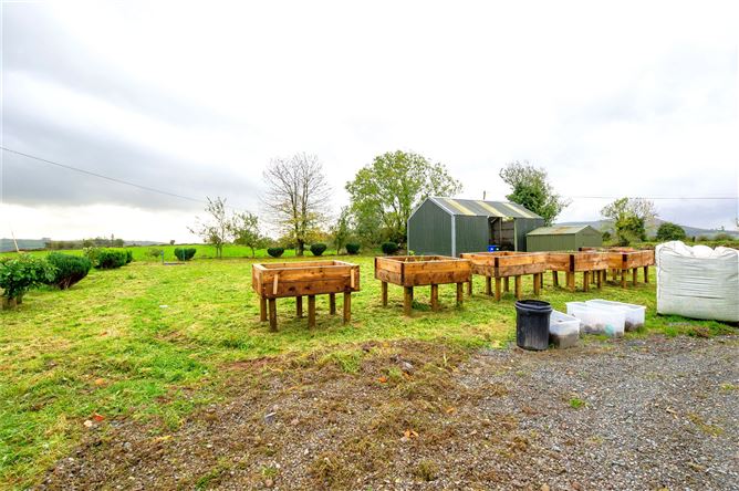 Tully, Glenroe, Kilmallock, Co. Limerick
