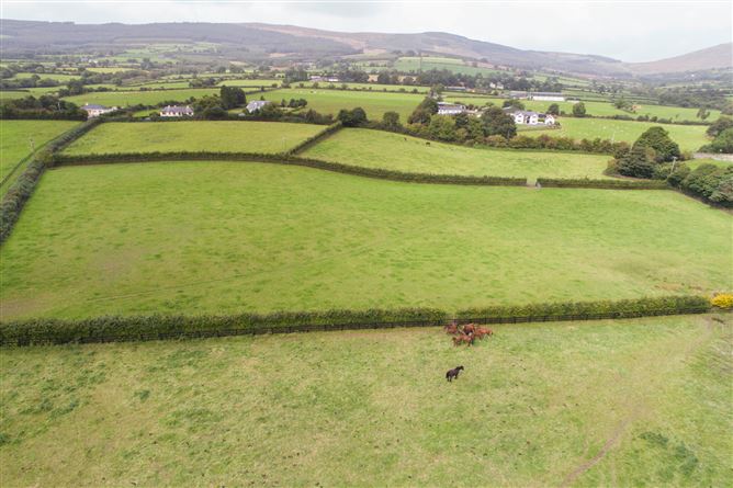 Ballybaun Stud, On C.41.39 Acres, Rathnure, Enniscorthy, Co. Wexford