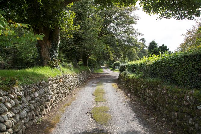 Ballybaun Stud, On C.41.39 Acres, Rathnure, Enniscorthy, Co. Wexford