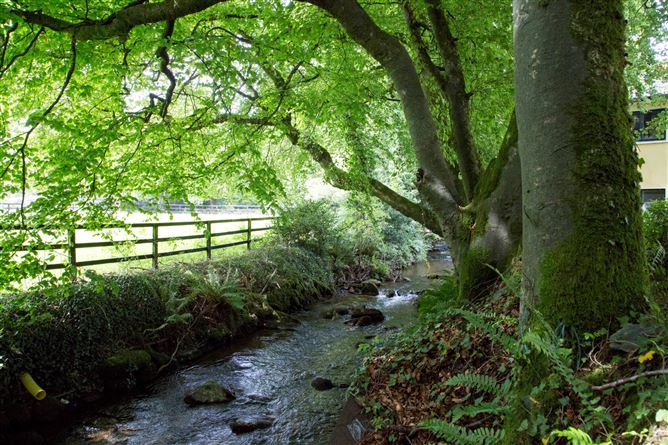 Ballybaun Stud, On C.41.39 Acres, Rathnure, Enniscorthy, Co. Wexford
