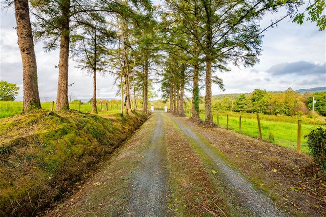  Tirnawannagh, Bawnboy, Cavan