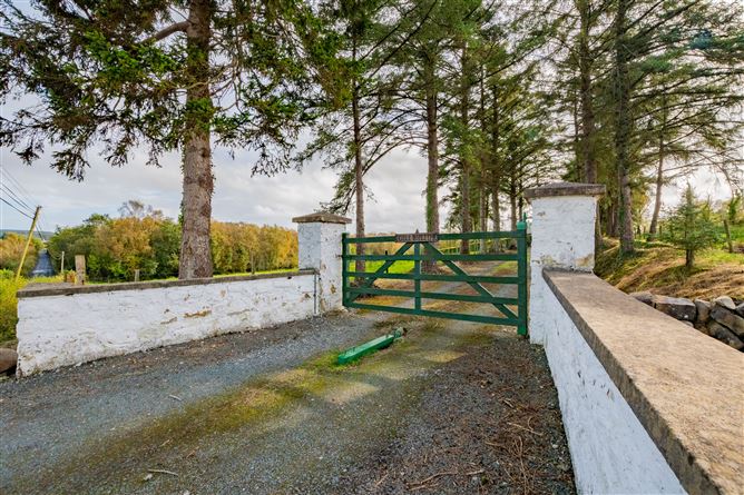  Tirnawannagh, Bawnboy, Cavan
