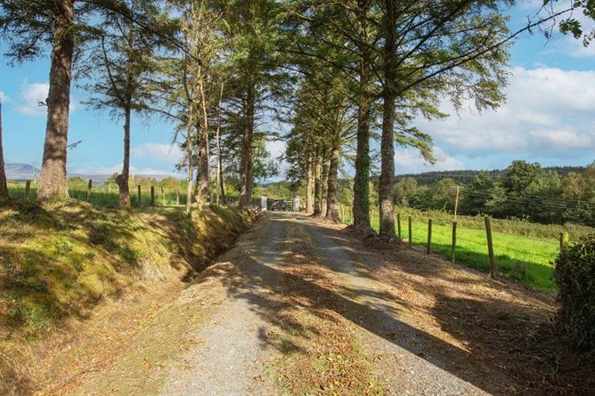  Tirnawannagh, Bawnboy, Cavan