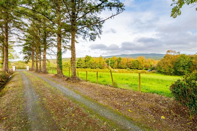  Tirnawannagh, Bawnboy, Cavan