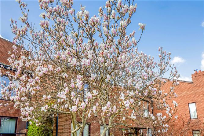 16 Donnybrook Green, Greenfield Park, Donnybrook,   Dublin 4