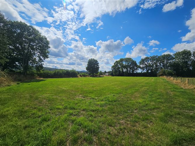 Freynestown, Dunlavin, Wicklow