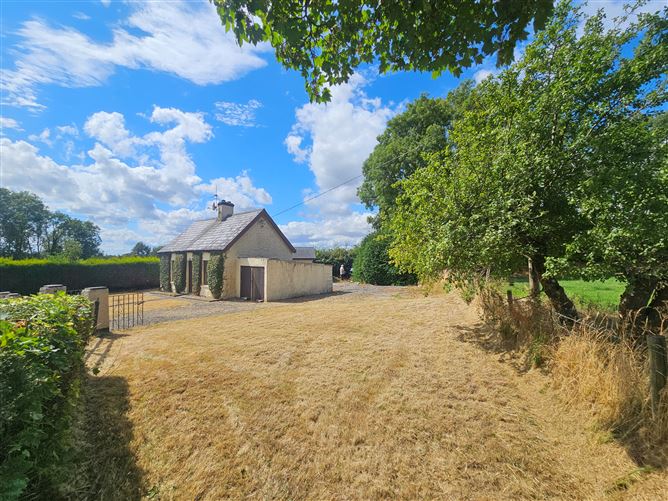 Freynestown, Dunlavin, Wicklow
