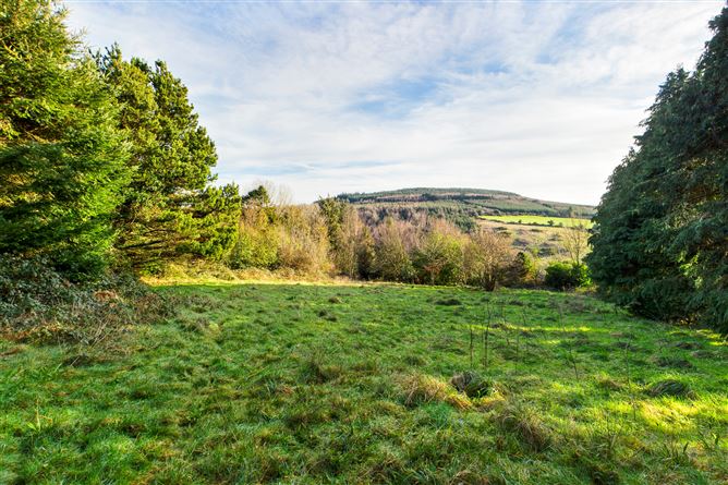 Ballycahane, Portlaw, Waterford