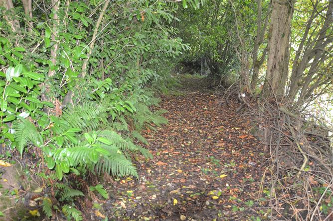 Effernogue, Dorans Bridge, Ferns, Wexford
