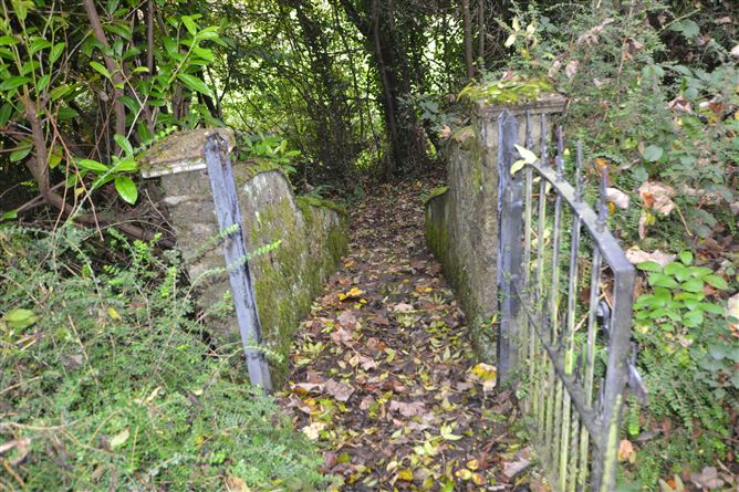 Effernogue, Dorans Bridge, Ferns, Wexford