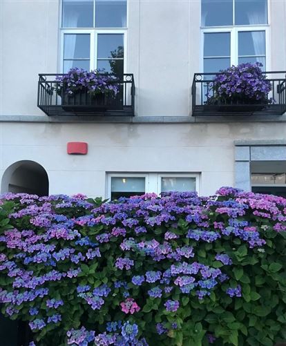 53 The Crescent, Robswall, Malahide,   County Dublin
