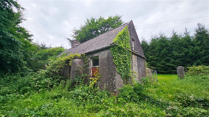 Cormaddyduff, Ballyjamesduff, Co. Cavan