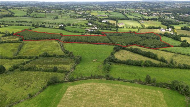 Cormaddyduff, Ballyjamesduff, Co. Cavan