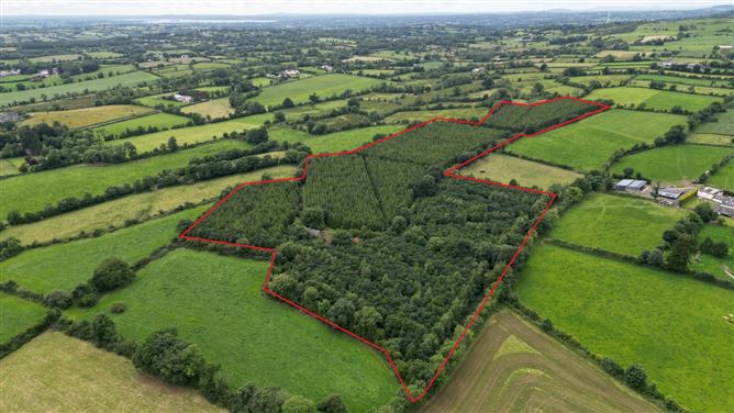 Cormaddyduff, Ballyjamesduff, Co. Cavan