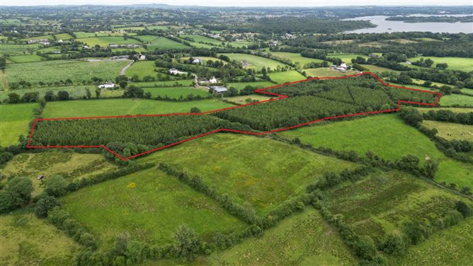 Cormaddyduff, Ballyjamesduff, Co. Cavan