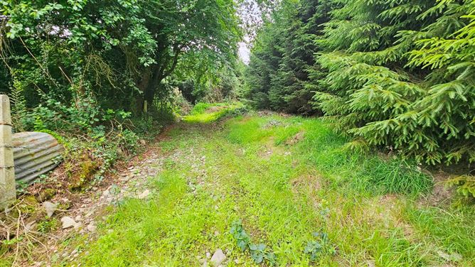 Cormaddyduff, Ballyjamesduff, Co. Cavan