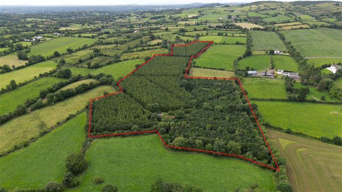 Cormaddyduff, Ballyjamesduff, Co. Cavan